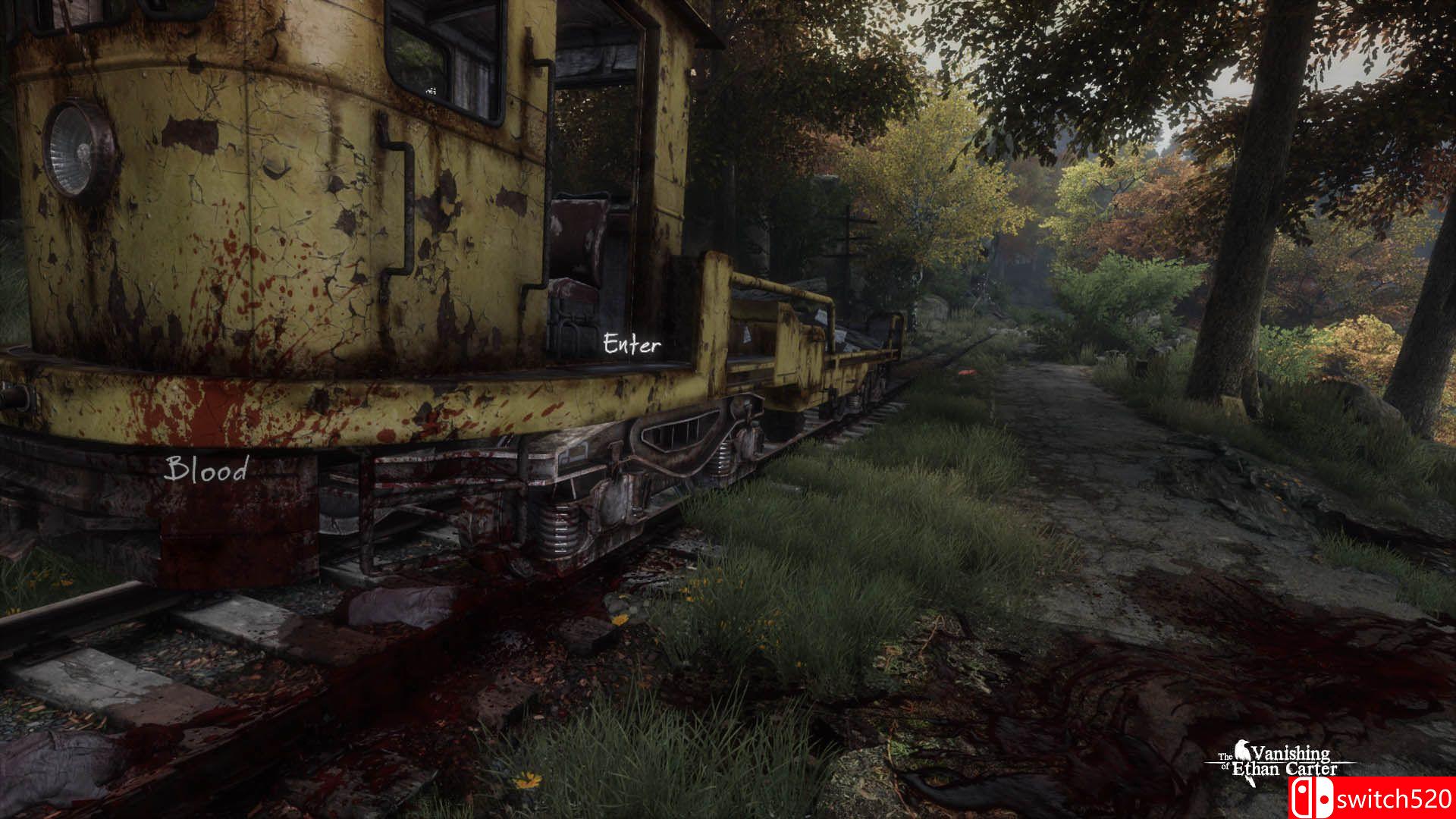 《伊森卡特的消失：终极版（The Vanishing of Ethan Carter Redux）》RELOADED破解版[EN]_3