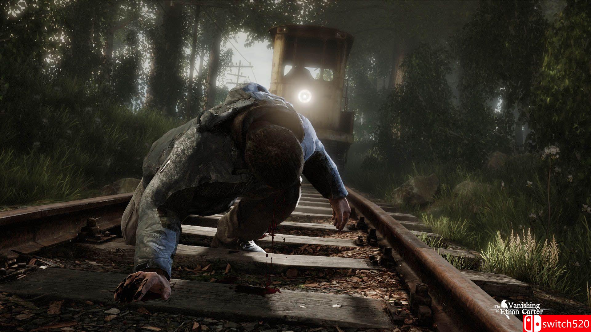 《伊森卡特的消失：终极版（The Vanishing of Ethan Carter Redux）》RELOADED破解版[EN]_2