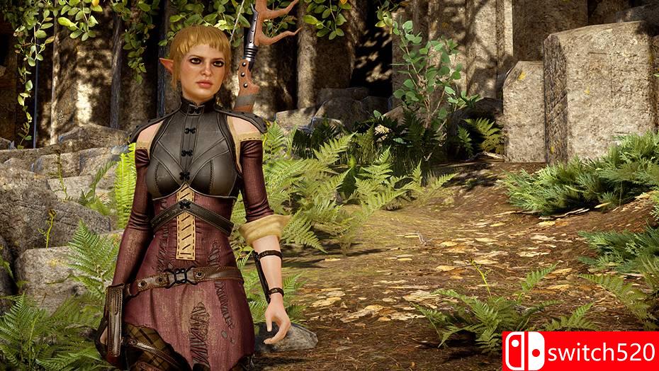 《龙腾世纪3：审判（Dragon Age：Inquisition）》PC豪华版 集成9号升级档 集成全DLC 3DM免安装破解版[EN]_7
