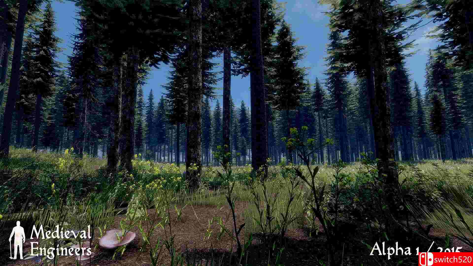 《中世纪工程师（Medieval Engineers）》豪华版 v0.5.4.BA50E4 3DM免安装未加密版[EN]_6
