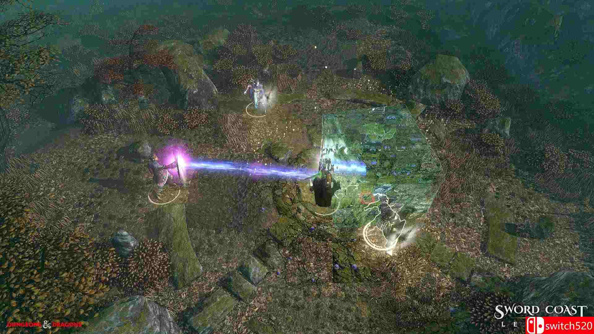 《剑湾传奇（Sword Coast Legends）》PC测试版 Build 51615 3DM免安装破解版[EN]_2