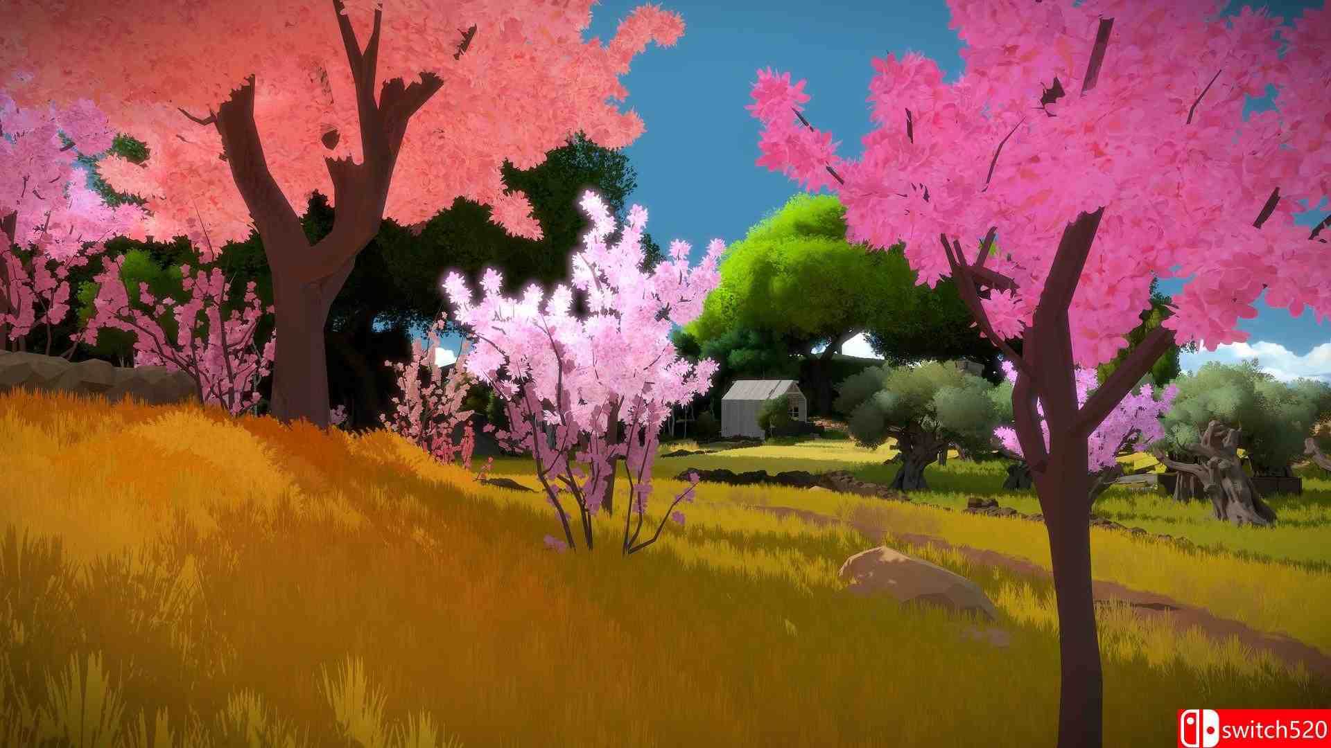 《见证者（The Witness）》HI2U破解版[CN/TW/EN]_9