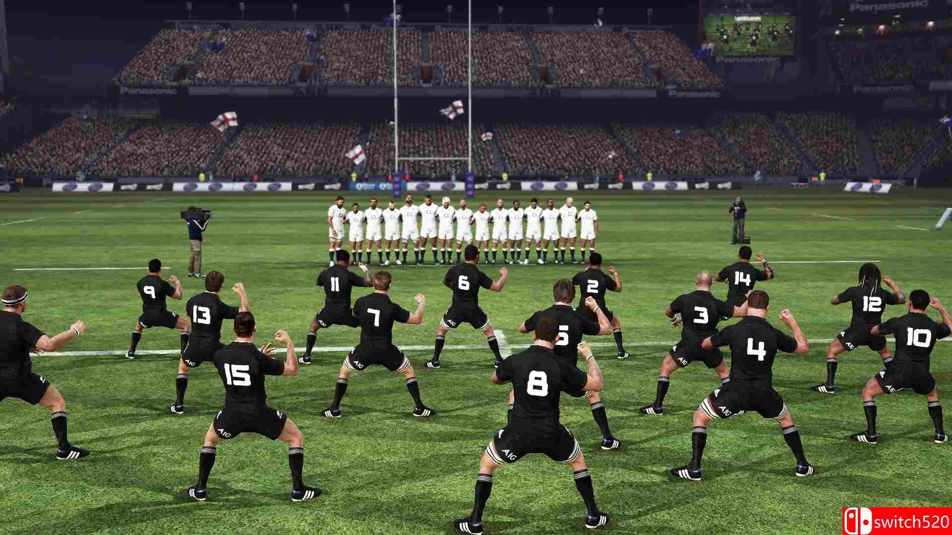 《橄榄球挑战赛3（Rugby Challenge 3）》3DM免安装未加密版[EN]_4