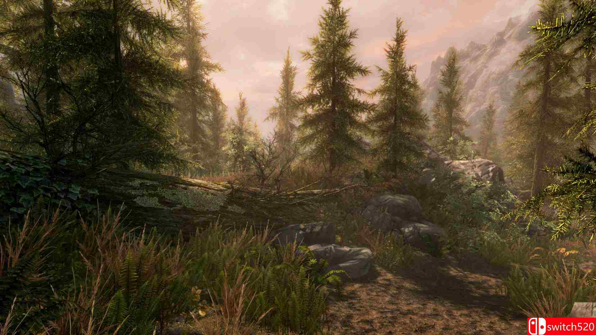 《上古卷轴5：周年纪念版（The Elder Scrolls V AE）》v1.6.1179 Razor1911镜像版[EN]_1