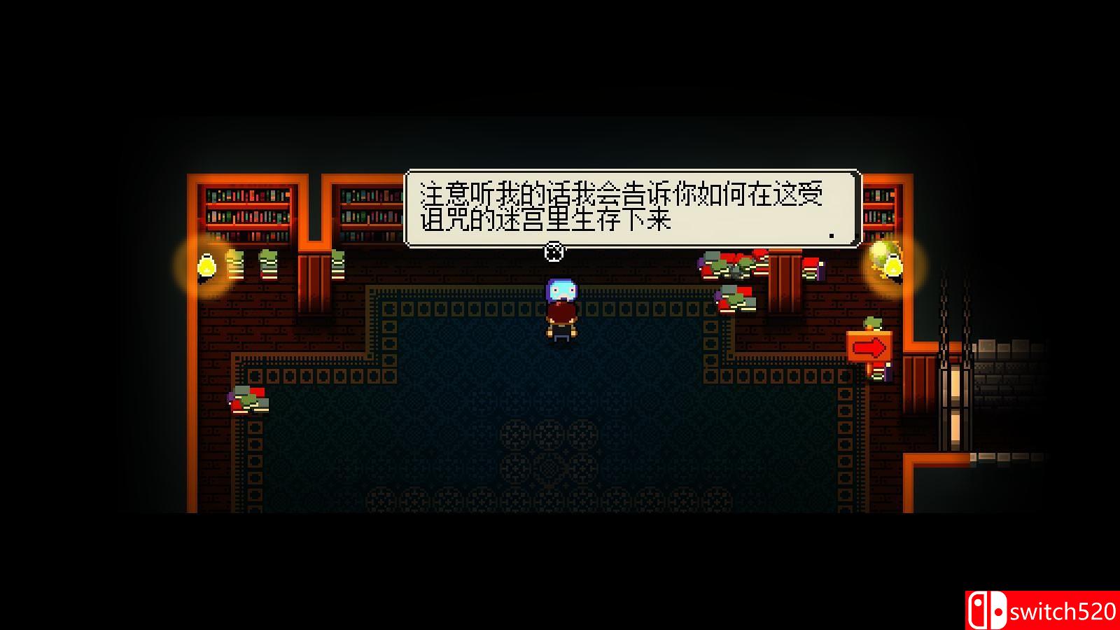 《挺进地牢（Enter the Gungeon）》官方中文 典藏版 v1.1.2 3DM免安装未加密版[CN/EN]_12
