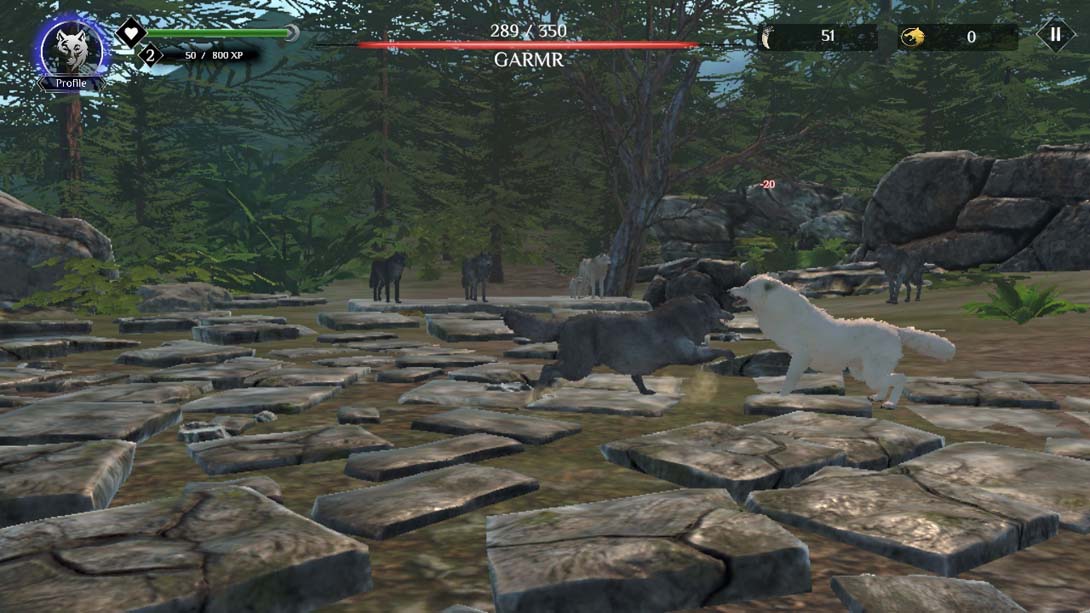 狼生存模拟器 Wolf Simulator: RPG Survival Animal Battle_Switch游戏_任天堂switch游戏下载_ns游戏下载_switch游戏下载_大气层游戏_TX游戏_xci游戏_nsp游戏_nsz游戏_switch金手指_ns金手指mod_任天堂游戏修改_switch520_Switch2_switch游戏下载_switch520_5