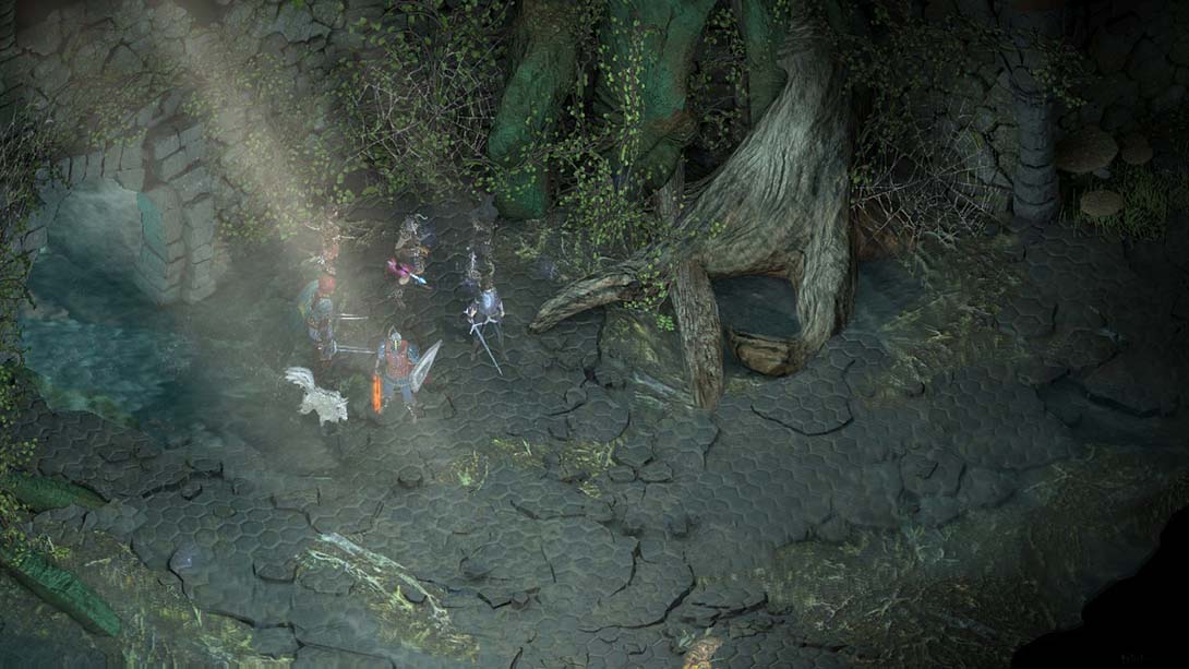永恒之柱:完全版 Pillars of Eternity: Complete Edition_Switch游戏_任天堂switch游戏下载_ns游戏下载_switch游戏下载_大气层游戏_TX游戏_xci游戏_nsp游戏_nsz游戏_switch金手指_ns金手指mod_任天堂游戏修改_switch520_Switch2_switch游戏下载_switch520_3