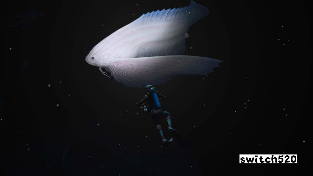 永恒蔚蓝 流光 .Endless Ocean ~ luminous ~_Switch游戏_任天堂switch游戏下载_ns游戏下载_switch游戏下载_大气层游戏_TX游戏_xci游戏_nsp游戏_nsz游戏_switch金手指_ns金手指mod_任天堂游戏修改_switch520_Switch2_switch游戏下载_switch520_3