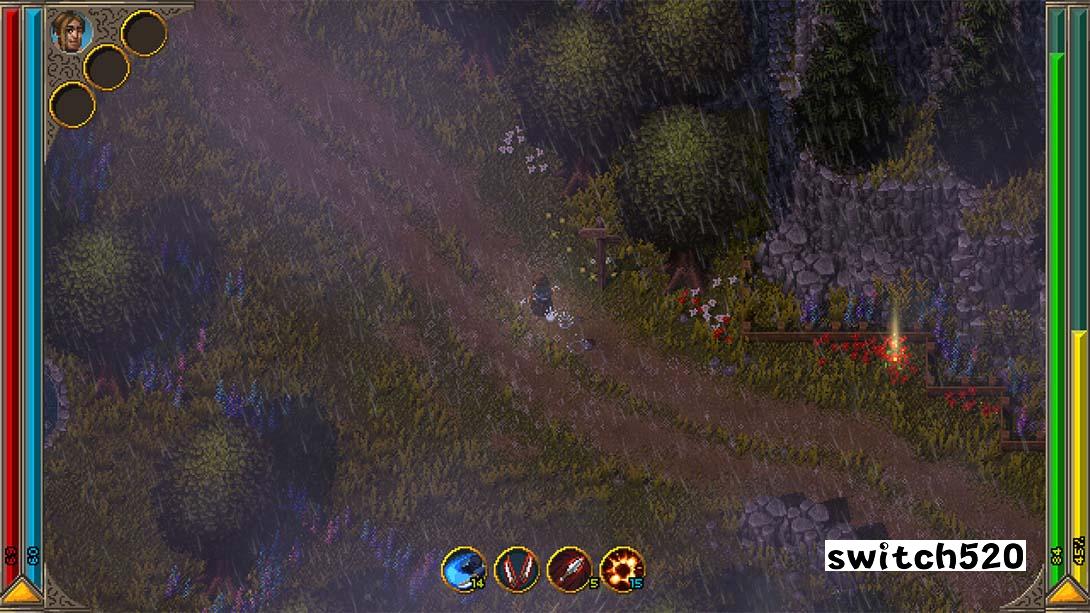 铁锤守卫2 Hammerwatch 2_Switch游戏_任天堂switch游戏下载_ns游戏下载_switch游戏下载_大气层游戏_TX游戏_xci游戏_nsp游戏_nsz游戏_switch金手指_ns金手指mod_任天堂游戏修改_switch520_Switch2_switch游戏下载_switch520_5