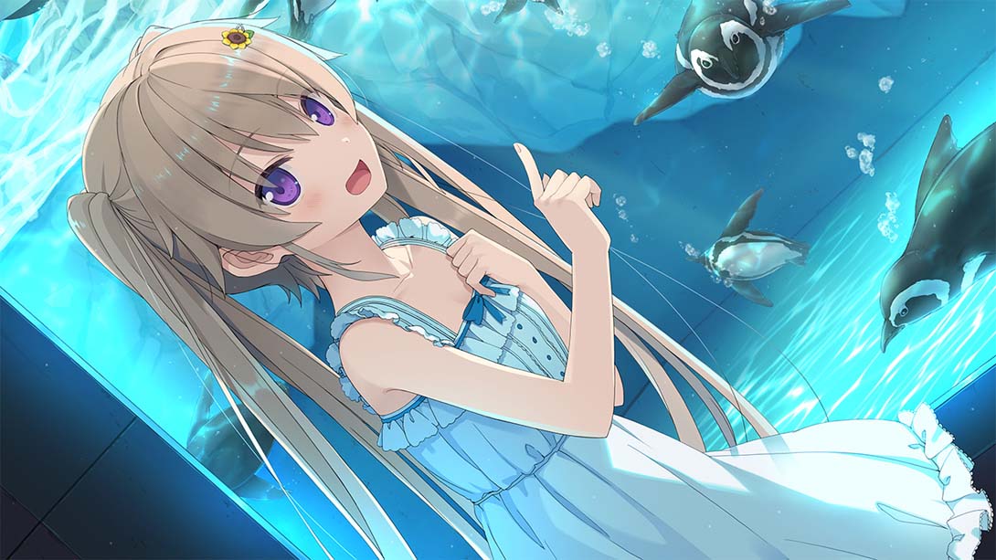 苍之彼方的四重奏 EXTRA1S .蒼の彼方のフォーリズム EXTRA1S_Switch游戏_任天堂switch游戏下载_ns游戏下载_switch游戏下载_大气层游戏_TX游戏_xci游戏_nsp游戏_nsz游戏_switch金手指_ns金手指mod_任天堂游戏修改_switch520_Switch2_switch游戏下载_switch520_1