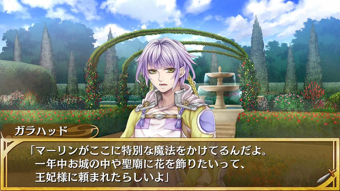 亚瑟公主 .Princess Arthur for Nintendo Switch_Switch游戏_任天堂switch游戏下载_ns游戏下载_switch游戏下载_大气层游戏_TX游戏_xci游戏_nsp游戏_nsz游戏_switch金手指_ns金手指mod_任天堂游戏修改_switch520_Switch2_switch游戏下载_switch520_4
