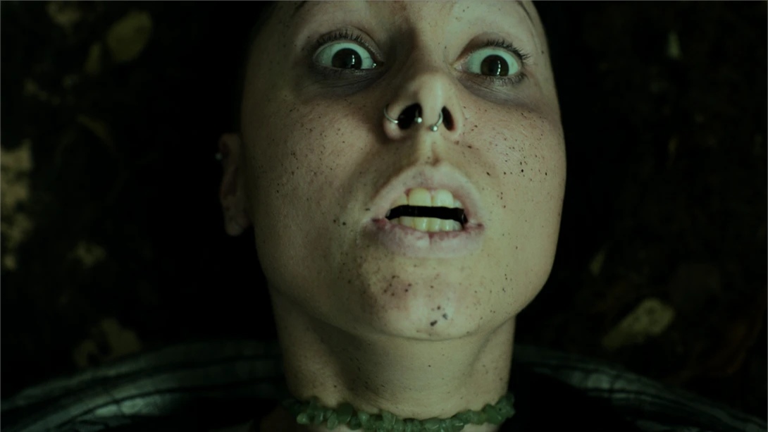 幽林深处 .Heart of the Forest_Switch游戏_任天堂switch游戏下载_ns游戏下载_switch游戏下载_大气层游戏_TX游戏_xci游戏_nsp游戏_nsz游戏_switch金手指_ns金手指mod_任天堂游戏修改_switch520_Switch2_switch游戏下载_switch520_5