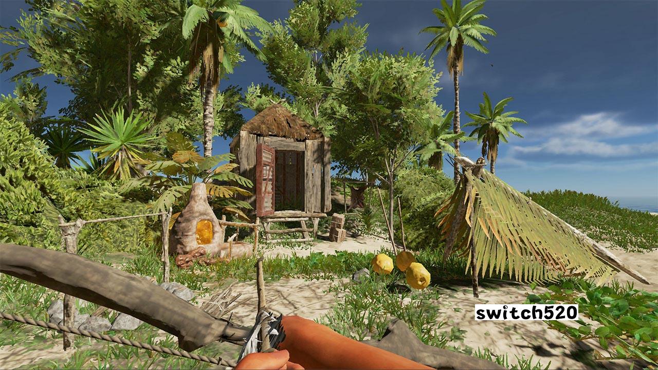 荒岛求生 Stranded Deep_Switch游戏_任天堂switch游戏下载_ns游戏下载_switch游戏下载_大气层游戏_TX游戏_xci游戏_nsp游戏_nsz游戏_switch金手指_ns金手指mod_任天堂游戏修改_switch520_Switch2_switch游戏下载_switch520_2