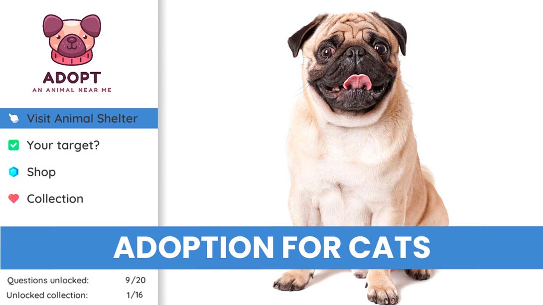 在我附近收养一只动物 Adopt an animal near me_Switch游戏_任天堂switch游戏下载_ns游戏下载_switch游戏下载_大气层游戏_TX游戏_xci游戏_nsp游戏_nsz游戏_switch金手指_ns金手指mod_任天堂游戏修改_switch520_Switch2_switch游戏下载_switch520_6