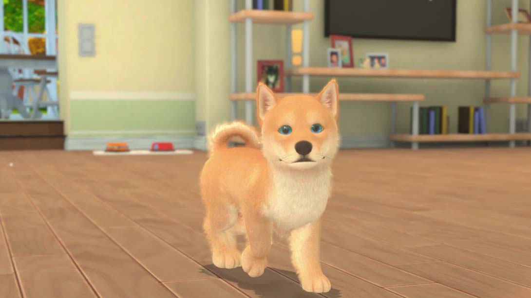 我的领域：小猫小狗 My Universe - Puppies and Kittens_Switch游戏_任天堂switch游戏下载_ns游戏下载_switch游戏下载_大气层游戏_TX游戏_xci游戏_nsp游戏_nsz游戏_switch金手指_ns金手指mod_任天堂游戏修改_switch520_Switch2_switch游戏下载_switch520_1