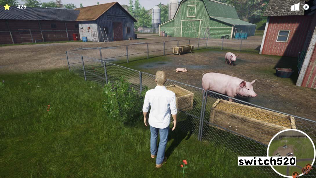 我的生活:农场兽医 My Life: Farm Vet_Switch游戏_任天堂switch游戏下载_ns游戏下载_switch游戏下载_大气层游戏_TX游戏_xci游戏_nsp游戏_nsz游戏_switch金手指_ns金手指mod_任天堂游戏修改_switch520_Switch2_switch游戏下载_switch520_5