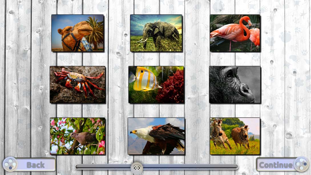 快乐拼图：迷人的动物 Jigsaw Fun: Amazing Animals_Switch游戏_任天堂switch游戏下载_ns游戏下载_switch游戏下载_大气层游戏_TX游戏_xci游戏_nsp游戏_nsz游戏_switch金手指_ns金手指mod_任天堂游戏修改_switch520_Switch2_switch游戏下载_switch520_1
