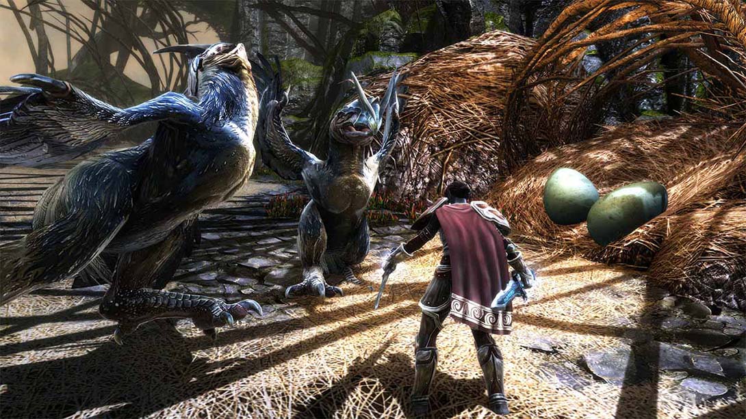 阿玛拉王国：惩罚重制版 Kingdoms of Amalur Reckoning_Switch游戏_任天堂switch游戏下载_ns游戏下载_switch游戏下载_大气层游戏_TX游戏_xci游戏_nsp游戏_nsz游戏_switch金手指_ns金手指mod_任天堂游戏修改_switch520_Switch2_switch游戏下载_switch520_5