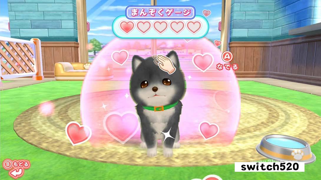 和狗一起玩!成为一名训狗师! .Play with dogs! Become a dog trainer!_Switch游戏_任天堂switch游戏下载_ns游戏下载_switch游戏下载_大气层游戏_TX游戏_xci游戏_nsp游戏_nsz游戏_switch金手指_ns金手指mod_任天堂游戏修改_switch520_Switch2_switch游戏下载_switch520_3