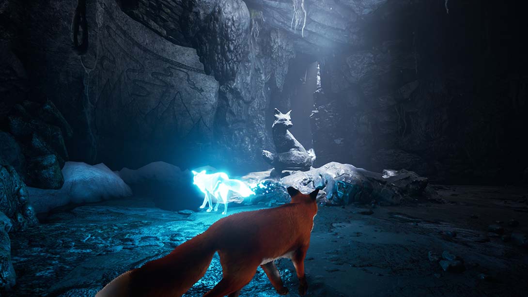 极北灵狐 Spirit of the North_Switch游戏_任天堂switch游戏下载_ns游戏下载_switch游戏下载_大气层游戏_TX游戏_xci游戏_nsp游戏_nsz游戏_switch金手指_ns金手指mod_任天堂游戏修改_switch520_Switch2_switch游戏下载_switch520_1