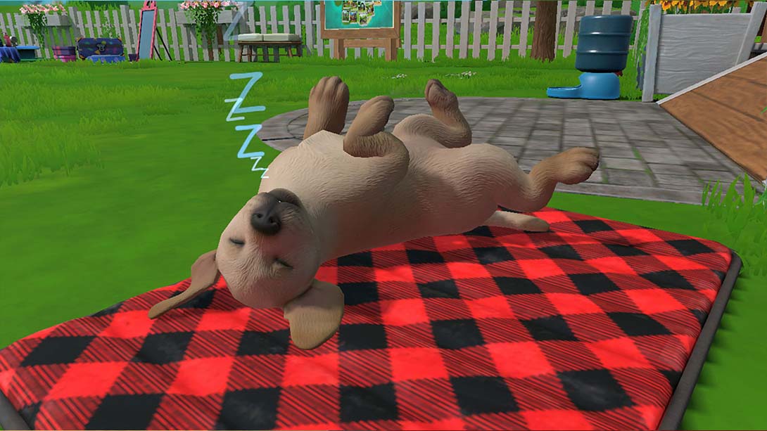 小小伙伴:狗狗小岛 Little Friends: Puppy Island_Switch游戏_任天堂switch游戏下载_ns游戏下载_switch游戏下载_大气层游戏_TX游戏_xci游戏_nsp游戏_nsz游戏_switch金手指_ns金手指mod_任天堂游戏修改_switch520_Switch2_switch游戏下载_switch520_4