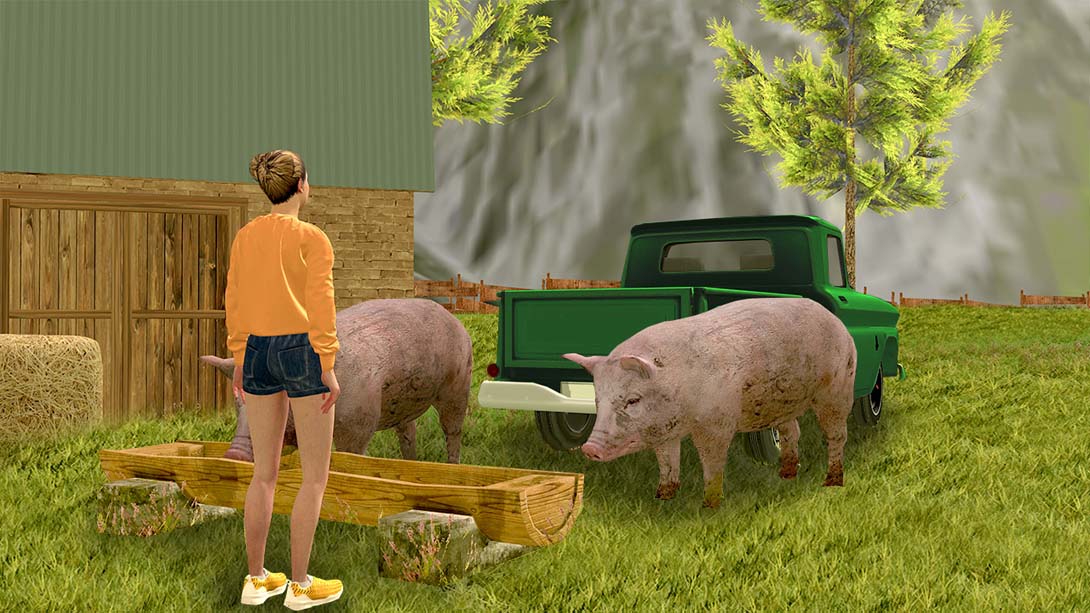 Animals Transport Simulator - car driving & parking games real zoo park_Switch游戏_任天堂switch游戏下载_ns游戏下载_switch游戏下载_大气层游戏_TX游戏_xci游戏_nsp游戏_nsz游戏_switch金手指_ns金手指mod_任天堂游戏修改_switch520_Switch2_switch游戏下载_switch520_6