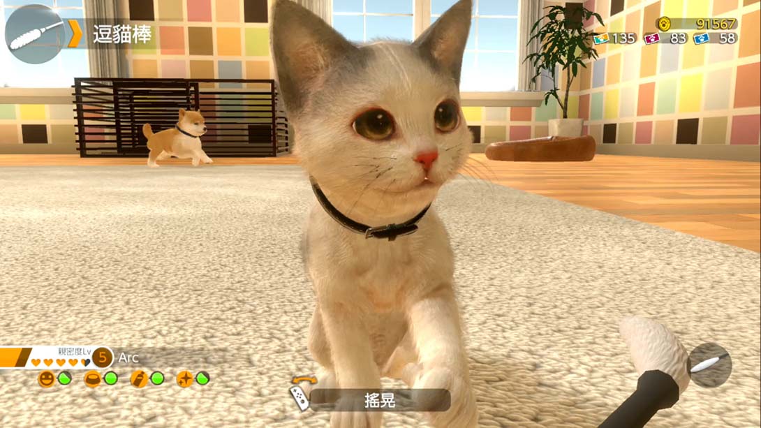 小小伙伴：狗狗与猫猫.LITTLE FRIENDS-DOGS & CATS-_Switch游戏_任天堂switch游戏下载_ns游戏下载_switch游戏下载_大气层游戏_TX游戏_xci游戏_nsp游戏_nsz游戏_switch金手指_ns金手指mod_任天堂游戏修改_switch520_Switch2_switch游戏下载_switch520_1