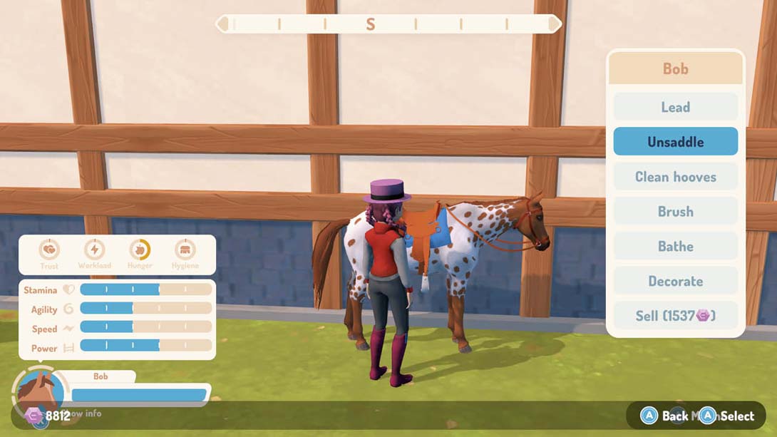 我的生活：马场精英3 .My Life: Riding Stables 3_Switch游戏_任天堂switch游戏下载_ns游戏下载_switch游戏下载_大气层游戏_TX游戏_xci游戏_nsp游戏_nsz游戏_switch金手指_ns金手指mod_任天堂游戏修改_switch520_Switch2_switch游戏下载_switch520_6