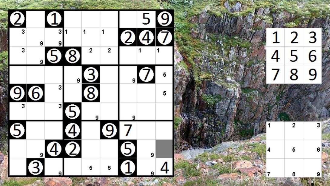 Logic Puzzle Collection: Sudoku - Permudoku - Nonodoku_Switch游戏_任天堂switch游戏下载_ns游戏下载_switch游戏下载_大气层游戏_TX游戏_xci游戏_nsp游戏_nsz游戏_switch金手指_ns金手指mod_任天堂游戏修改_switch520_Switch2_switch游戏下载_switch520_2