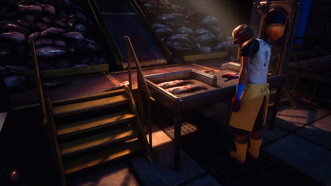 艾迪芬奇的记忆 .What Remains of Edith Finch_Switch游戏_任天堂switch游戏下载_ns游戏下载_switch游戏下载_大气层游戏_TX游戏_xci游戏_nsp游戏_nsz游戏_switch金手指_ns金手指mod_任天堂游戏修改_switch520_Switch2_switch游戏下载_switch520_1