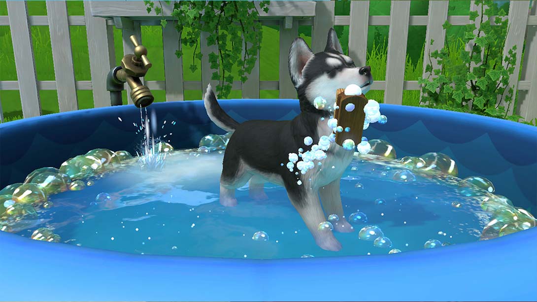 小小伙伴:狗狗小岛 Little Friends: Puppy Island_Switch游戏_任天堂switch游戏下载_ns游戏下载_switch游戏下载_大气层游戏_TX游戏_xci游戏_nsp游戏_nsz游戏_switch金手指_ns金手指mod_任天堂游戏修改_switch520_Switch2_switch游戏下载_switch520_2