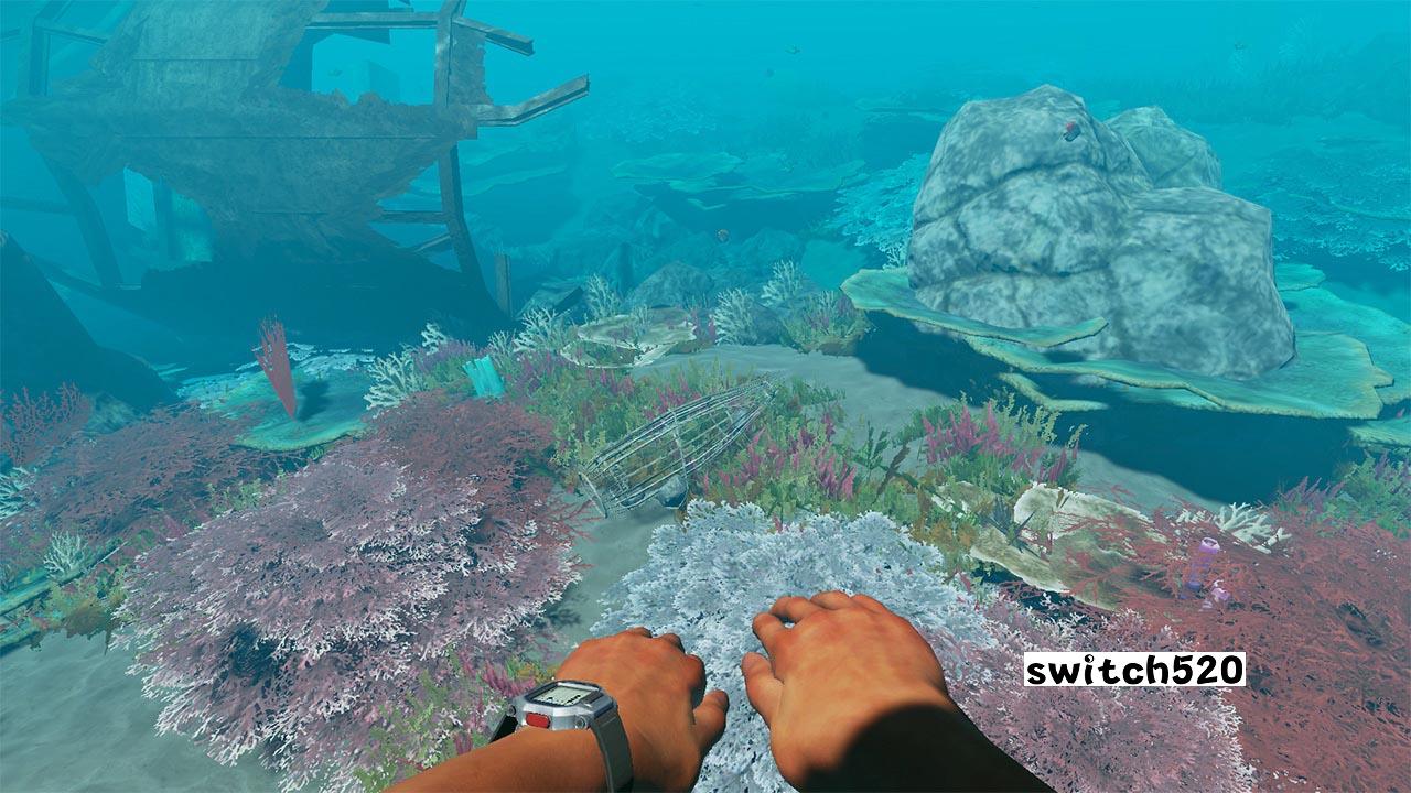 荒岛求生 Stranded Deep_Switch游戏_任天堂switch游戏下载_ns游戏下载_switch游戏下载_大气层游戏_TX游戏_xci游戏_nsp游戏_nsz游戏_switch金手指_ns金手指mod_任天堂游戏修改_switch520_Switch2_switch游戏下载_switch520_5