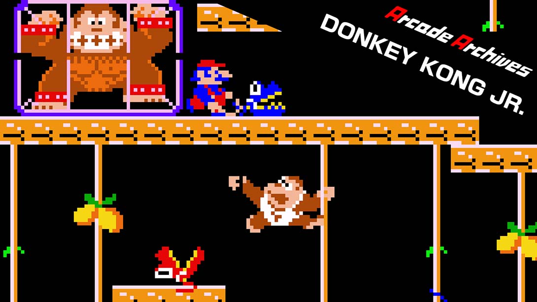 街机档案：小金刚 Arcade Archives DONKEY KONG JR_Switch游戏_任天堂switch游戏下载_ns游戏下载_switch游戏下载_大气层游戏_TX游戏_xci游戏_nsp游戏_nsz游戏_switch金手指_ns金手指mod_任天堂游戏修改_switch520_Switch2_switch游戏下载_switch520_0
