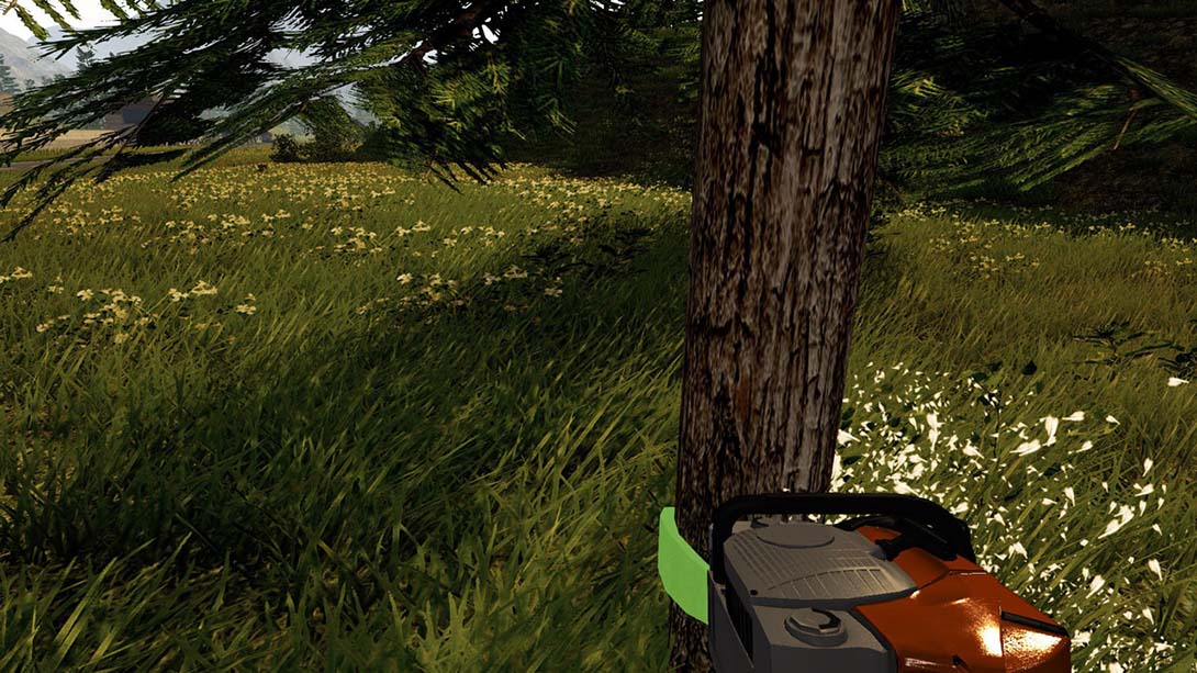 模拟林业 Forestry The Simulation_Switch游戏_任天堂switch游戏下载_ns游戏下载_switch游戏下载_大气层游戏_TX游戏_xci游戏_nsp游戏_nsz游戏_switch金手指_ns金手指mod_任天堂游戏修改_switch520_Switch2_switch游戏下载_switch520_2