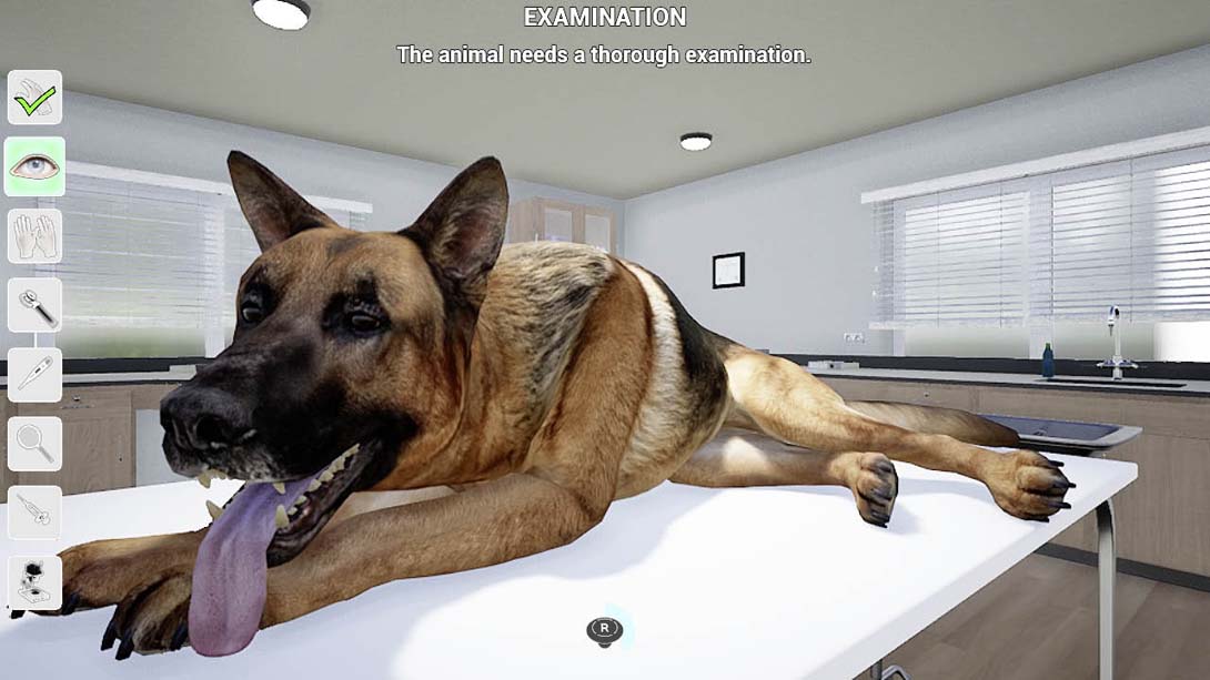 我的生活：宠物兽医 My Life: Pet Vet_Switch游戏_任天堂switch游戏下载_ns游戏下载_switch游戏下载_大气层游戏_TX游戏_xci游戏_nsp游戏_nsz游戏_switch金手指_ns金手指mod_任天堂游戏修改_switch520_Switch2_switch游戏下载_switch520_3