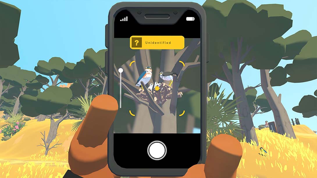 阿尔芭：野外冒险 Alba A Wildlife Adventure_Switch游戏_任天堂switch游戏下载_ns游戏下载_switch游戏下载_大气层游戏_TX游戏_xci游戏_nsp游戏_nsz游戏_switch金手指_ns金手指mod_任天堂游戏修改_switch520_Switch2_switch游戏下载_switch520_2
