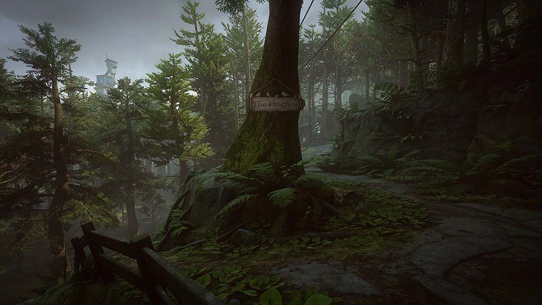 艾迪芬奇的记忆 .What Remains of Edith Finch_Switch游戏_任天堂switch游戏下载_ns游戏下载_switch游戏下载_大气层游戏_TX游戏_xci游戏_nsp游戏_nsz游戏_switch金手指_ns金手指mod_任天堂游戏修改_switch520_Switch2_switch游戏下载_switch520_3