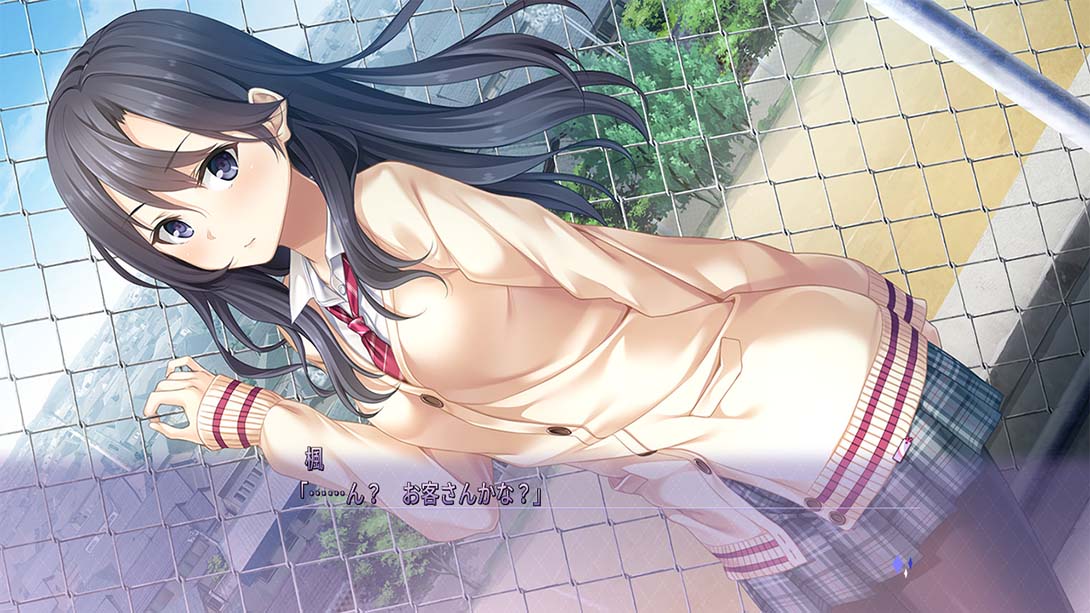メルキス Spend with you the sweet days like fairy tales_Switch游戏_任天堂switch游戏下载_ns游戏下载_switch游戏下载_大气层游戏_TX游戏_xci游戏_nsp游戏_nsz游戏_switch金手指_ns金手指mod_任天堂游戏修改_switch520_Switch2_switch游戏下载_switch520_4