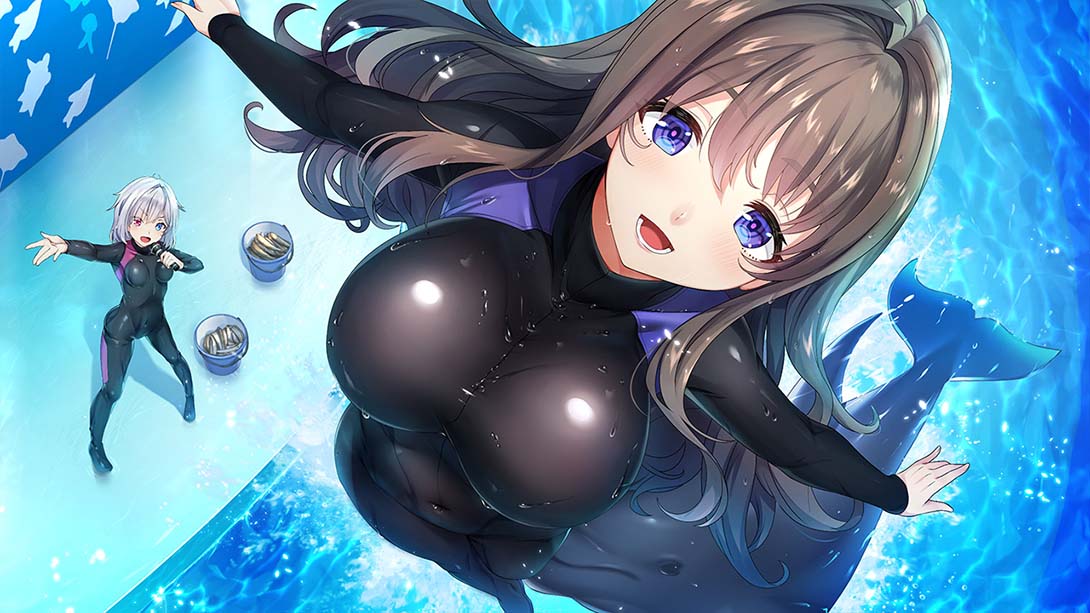 和女忍者的同居生活2 NinNinDays2_Switch游戏_任天堂switch游戏下载_ns游戏下载_switch游戏下载_大气层游戏_TX游戏_xci游戏_nsp游戏_nsz游戏_switch金手指_ns金手指mod_任天堂游戏修改_switch520_Switch2_switch游戏下载_switch520_1