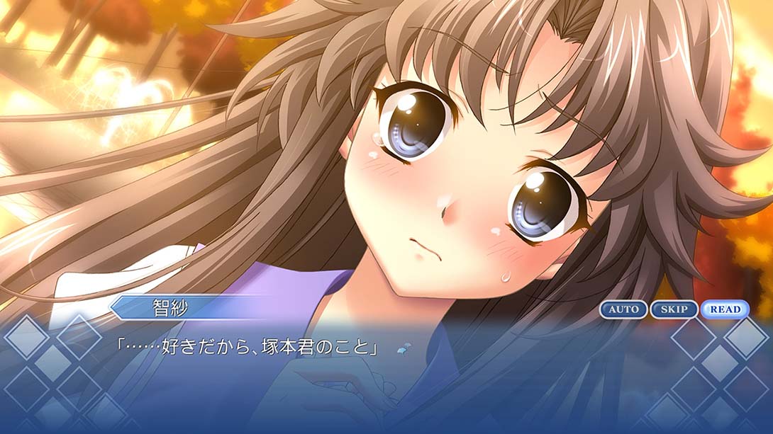 秋之回忆5中断的影片 Memori-zuofu 5 togireta firumu_Switch游戏_任天堂switch游戏下载_ns游戏下载_switch游戏下载_大气层游戏_TX游戏_xci游戏_nsp游戏_nsz游戏_switch金手指_ns金手指mod_任天堂游戏修改_switch520_Switch2_switch游戏下载_switch520_4