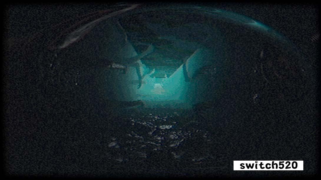 生化危机1复古 .Plastomorphosis_Switch游戏_任天堂switch游戏下载_ns游戏下载_switch游戏下载_大气层游戏_TX游戏_xci游戏_nsp游戏_nsz游戏_switch金手指_ns金手指mod_任天堂游戏修改_switch520_Switch2_switch游戏下载_switch520_2