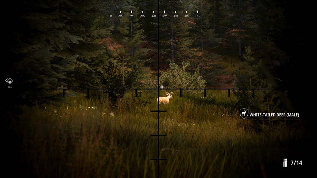 狩猎模拟2 Hunting Simulator 2_Switch游戏_任天堂switch游戏下载_ns游戏下载_switch游戏下载_大气层游戏_TX游戏_xci游戏_nsp游戏_nsz游戏_switch金手指_ns金手指mod_任天堂游戏修改_switch520_Switch2_switch游戏下载_switch520_6