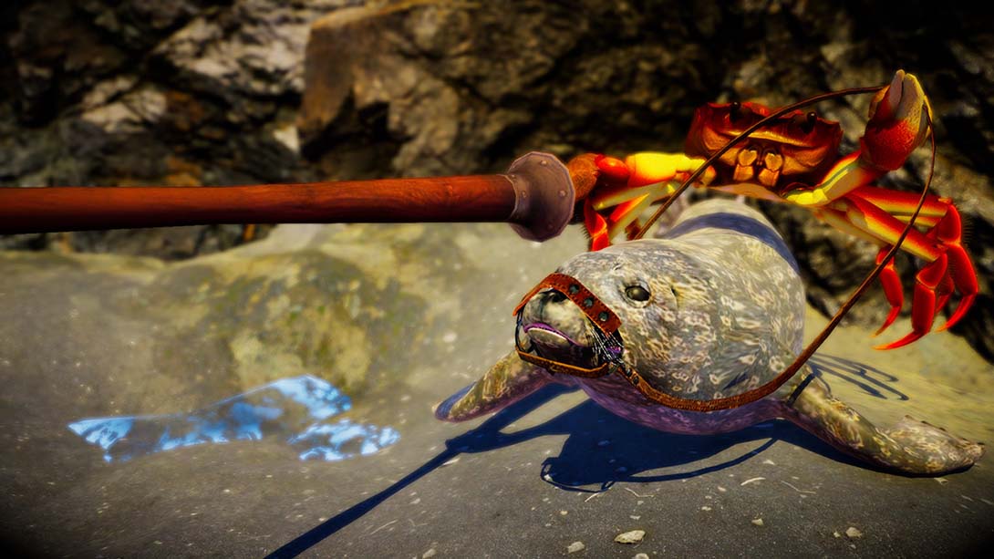 螃蟹大战 Fight Crab カニノケンカ_Switch游戏_任天堂switch游戏下载_ns游戏下载_switch游戏下载_大气层游戏_TX游戏_xci游戏_nsp游戏_nsz游戏_switch金手指_ns金手指mod_任天堂游戏修改_switch520_Switch2_switch游戏下载_switch520_3