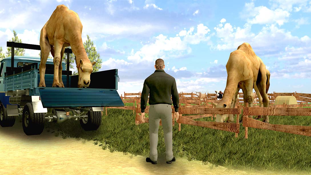 Animals Transport Simulator - car driving & parking games real zoo park_Switch游戏_任天堂switch游戏下载_ns游戏下载_switch游戏下载_大气层游戏_TX游戏_xci游戏_nsp游戏_nsz游戏_switch金手指_ns金手指mod_任天堂游戏修改_switch520_Switch2_switch游戏下载_switch520_5