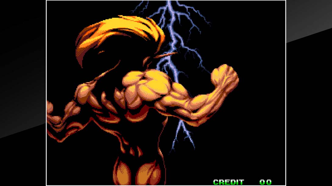 世界英雄 完美版 ACA NEOGEO WORLD HEROS PERFECT_Switch游戏_任天堂switch游戏下载_ns游戏下载_switch游戏下载_大气层游戏_TX游戏_xci游戏_nsp游戏_nsz游戏_switch金手指_ns金手指mod_任天堂游戏修改_switch520_Switch2_switch游戏下载_switch520_6