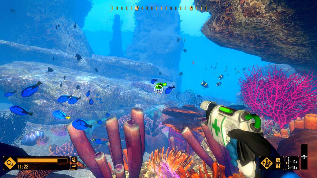 深海潜水模拟|Deep Diving Adventures_Switch游戏_任天堂switch游戏下载_ns游戏下载_switch游戏下载_大气层游戏_TX游戏_xci游戏_nsp游戏_nsz游戏_switch金手指_ns金手指mod_任天堂游戏修改_switch520_Switch2_switch游戏下载_switch520_5