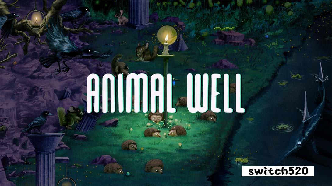 动物井 .ANIMAL WELL_Switch游戏_任天堂switch游戏下载_ns游戏下载_switch游戏下载_大气层游戏_TX游戏_xci游戏_nsp游戏_nsz游戏_switch金手指_ns金手指mod_任天堂游戏修改_switch520_Switch2_switch游戏下载_switch520_0