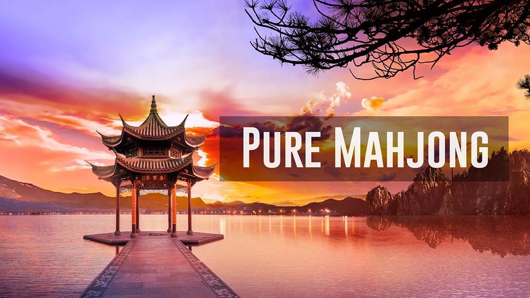 纯净麻将 Pure Mahjong_Switch游戏_任天堂switch游戏下载_ns游戏下载_switch游戏下载_大气层游戏_TX游戏_xci游戏_nsp游戏_nsz游戏_switch金手指_ns金手指mod_任天堂游戏修改_switch520_Switch2_switch游戏下载_switch520_0