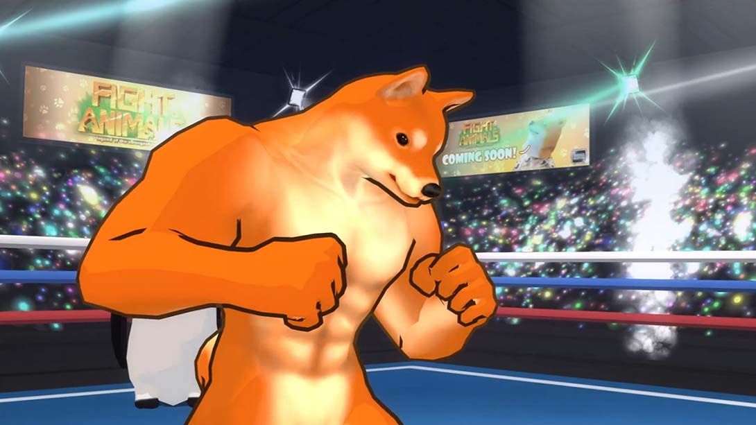 动物之斗 Fight of Animals_Switch游戏_任天堂switch游戏下载_ns游戏下载_switch游戏下载_大气层游戏_TX游戏_xci游戏_nsp游戏_nsz游戏_switch金手指_ns金手指mod_任天堂游戏修改_switch520_Switch2_switch游戏下载_switch520_4