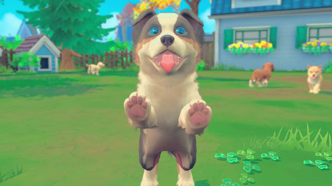 我的领域：小猫小狗 My Universe - Puppies and Kittens_Switch游戏_任天堂switch游戏下载_ns游戏下载_switch游戏下载_大气层游戏_TX游戏_xci游戏_nsp游戏_nsz游戏_switch金手指_ns金手指mod_任天堂游戏修改_switch520_Switch2_switch游戏下载_switch520_4